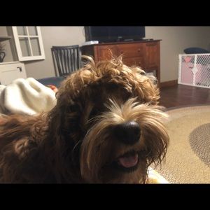 Meet your Posher, Michelle